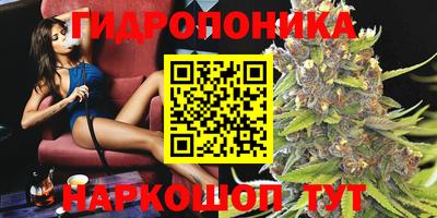 2c-b Ачхой-Мартан