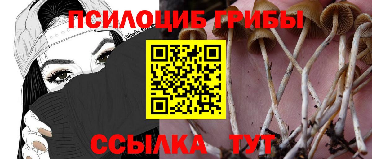 Псилоцибиновые грибы Psilocybine cubensis Белебей
